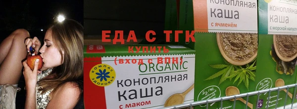 прущие крисы Сясьстрой