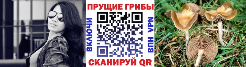 наркота  Набережные Челны  Галлюциногенные грибы ЛСД 