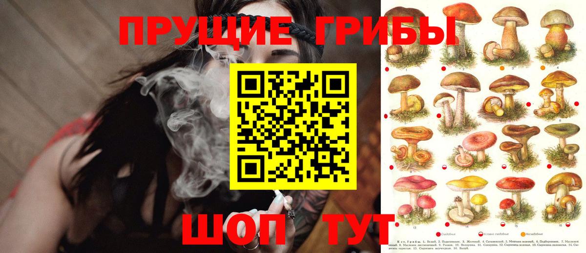 где купить наркоту  Псилоцибиновые грибы ЛСД  Вход с VPN  Набережные Челны 