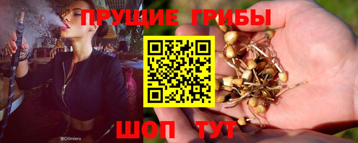 Галлюциногенные грибы Psilocybe Набережные Челны